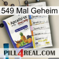 549 Times Secret 11